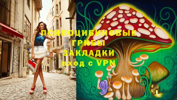 амф Алексеевка