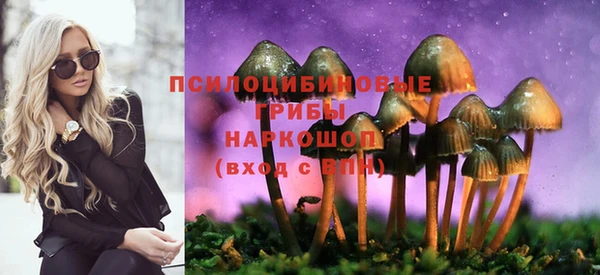 амф Алексеевка